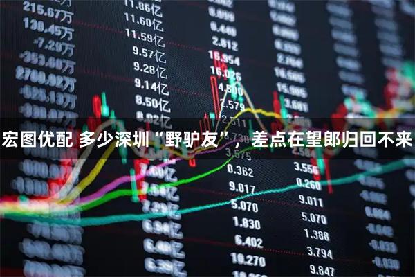 宏图优配 多少深圳“野驴友”，差点在望郎归回不来