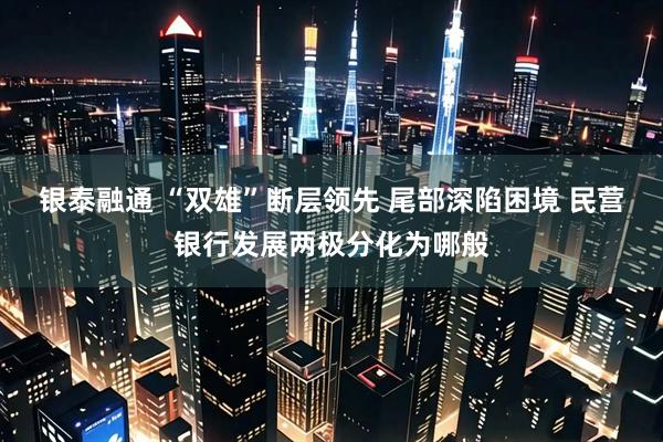 银泰融通 “双雄”断层领先 尾部深陷困境 民营银行发展两极分化为哪般