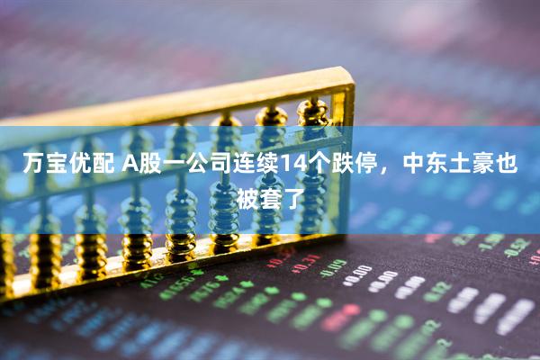 万宝优配 A股一公司连续14个跌停，中东土豪也被套了