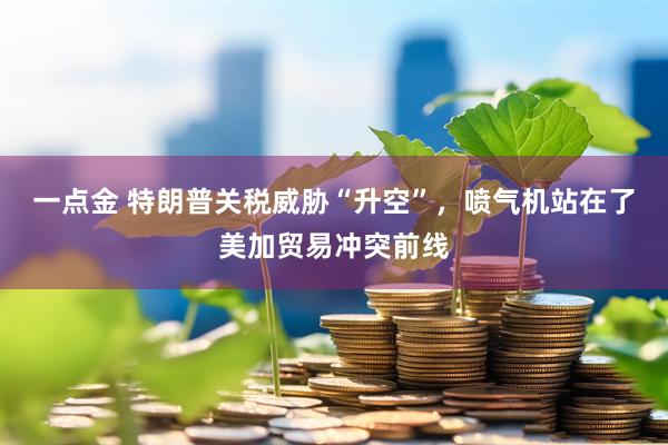 一点金 特朗普关税威胁“升空”，喷气机站在了美加贸易冲突前线