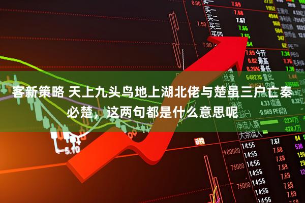 客新策略 天上九头鸟地上湖北佬与楚虽三户亡秦必楚，这两句都是什么意思呢