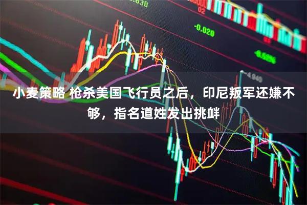 小麦策略 枪杀美国飞行员之后,印尼叛军还嫌不够,指名道姓发出挑衅