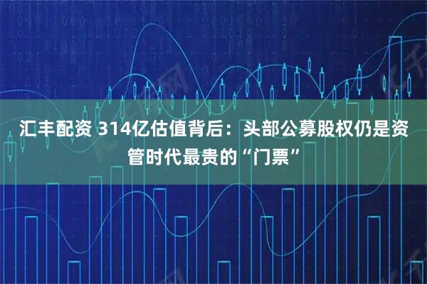 汇丰配资 314亿估值背后:头部公募股权仍是资管时代最贵的“门票”